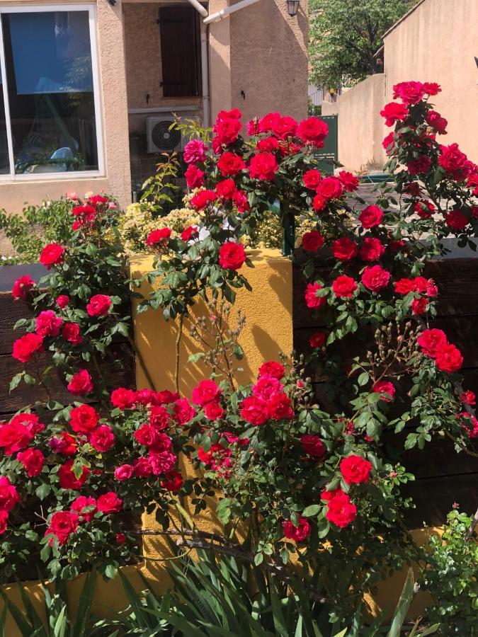 Chez Guy Bed & Breakfast Marseille Ngoại thất bức ảnh
